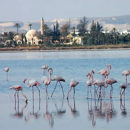 Ithaki Phinikoudes 307 Apartment Larnaca