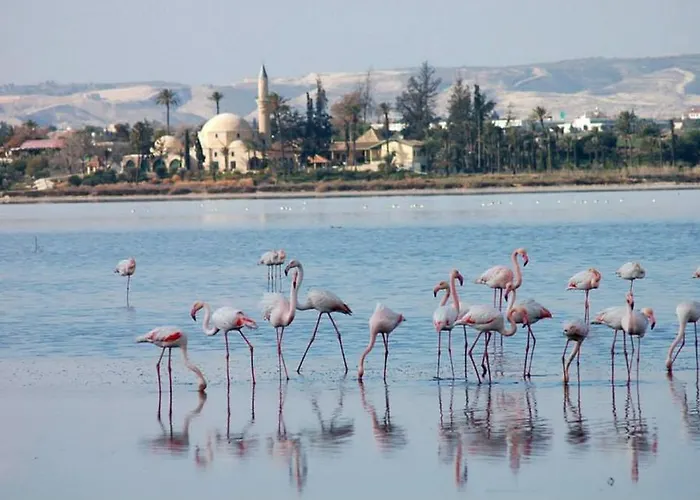 Ithaki Phinikoudes 307 Apartmán Larnaca